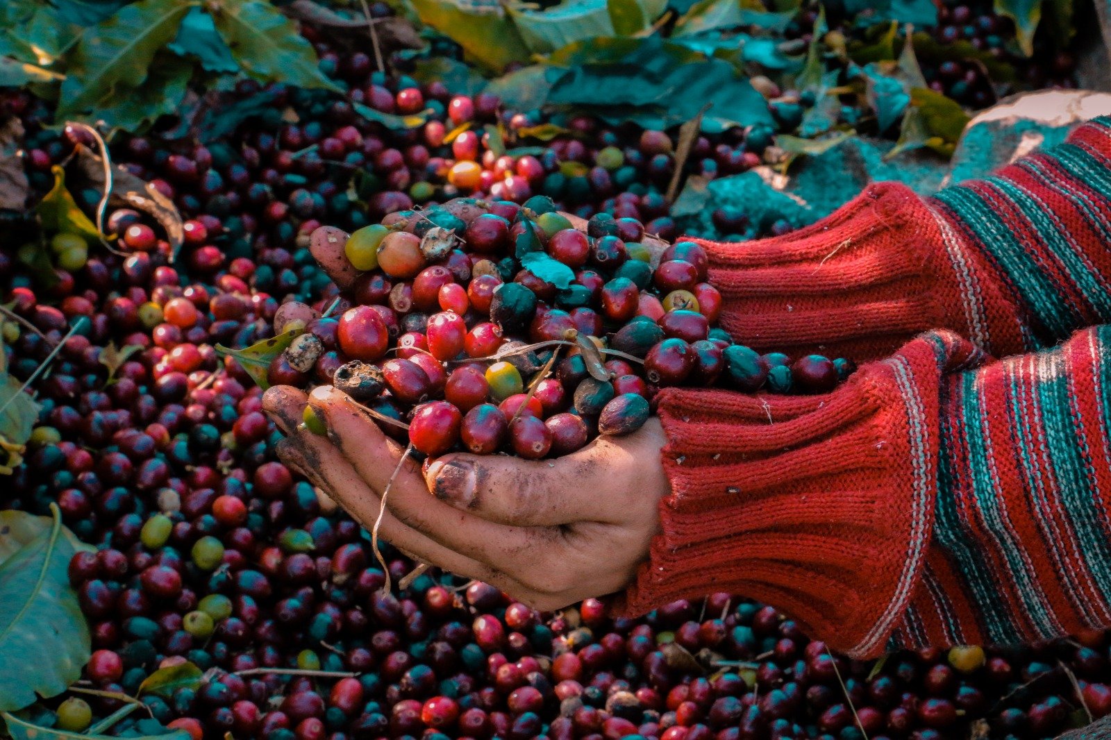 Colombia Huila